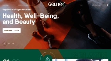 gelnex.com.br