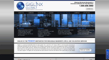 giglinxusa.com