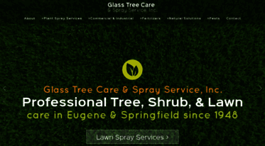 glasstreecare.squarespace.com