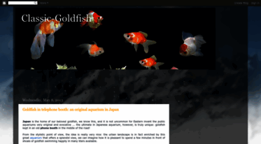 goldfish-new.blogspot.com