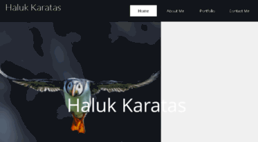 halukkaratas.com