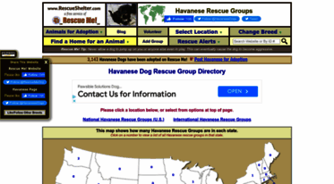 havanese.rescueshelter.com