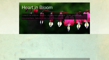 heart-in-bloom.blogspot.com