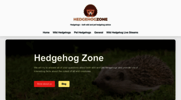 hedgehogzone.com