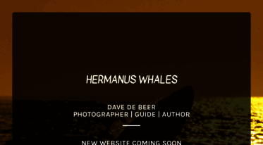 hermanuswhales.co.za