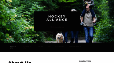 hockeyalliance.com