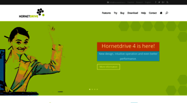 hornetdrive.com