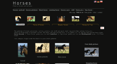 horses-photos.org