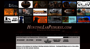 huntinglabpedigree.com