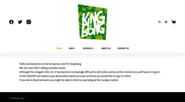 kingbong.com