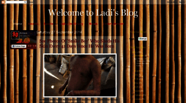 ladyjad.blogspot.com