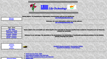 lily-technology.com