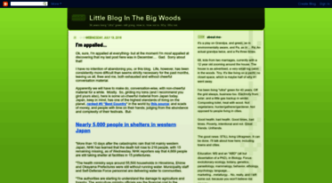 littlebloginthebigwoods.blogspot.com