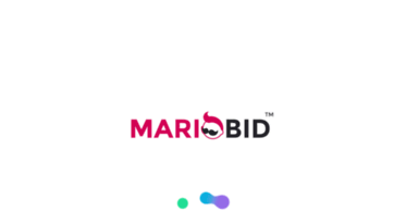 mariobid.com