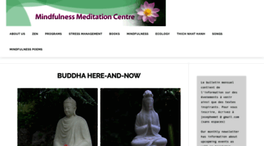 mindfulnessmeditationcentre.org