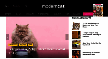 moderncat.com