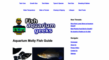 molly-fish.com