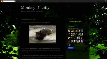 monkeydlulffy.blogspot.com