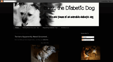 mydoghasdiabetes.blogspot.com