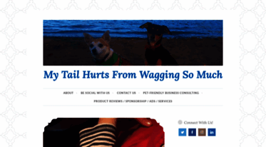 mytailhurtsfromwaggingsomuch.com