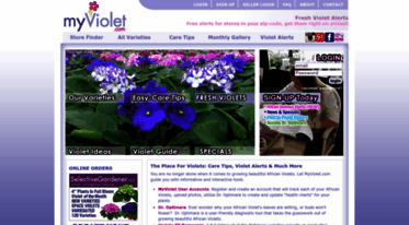 myviolet.com