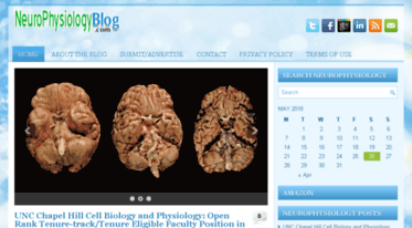 neurophysiologyblog.com