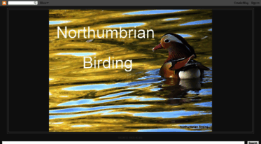 northumbrianbirding.blogspot.com
