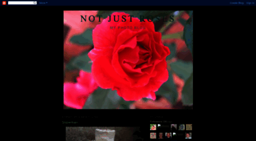 notjustroses.blogspot.com