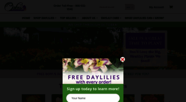 oaksdaylilies.com