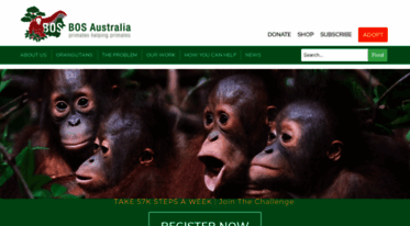 orangutans.com.au