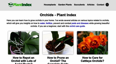 orchidview.com
