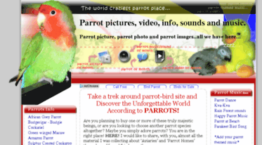 parrot-bird.com
