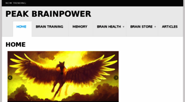 peakbrainpower.com