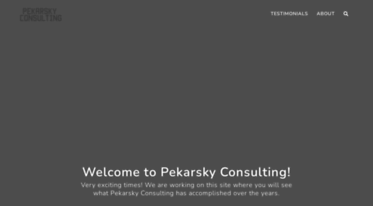 pekarskyconsulting.com