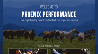 phoenixperformance.com