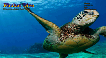 phuket-dive.com