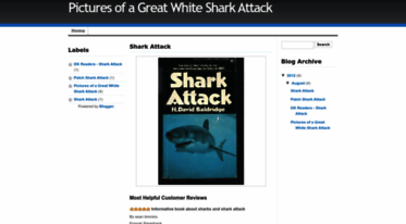 pictures-of-great-white-shark-attack.blogspot.com