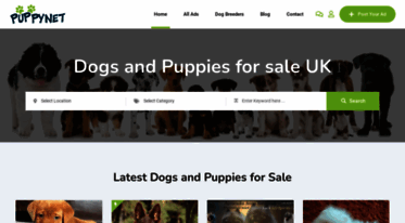 puppies-forsale.co.uk