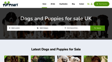 puppies-or-dogs.com