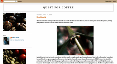 questforcoffee.blogspot.com