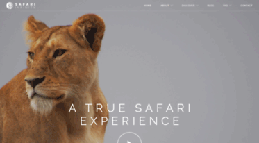 safari-infinity.com