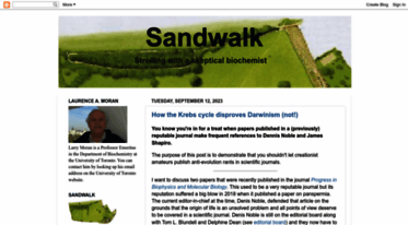 sandwalk.blogspot.com