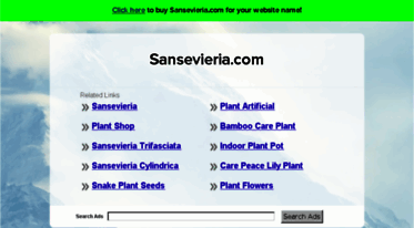 sansevieria.com