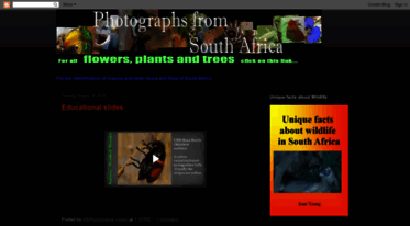 saphotographs.blogspot.com