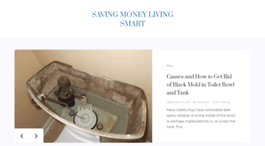 savingmoneylivingsmart.com
