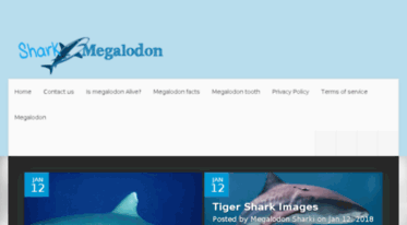 sharkmegalodon.com