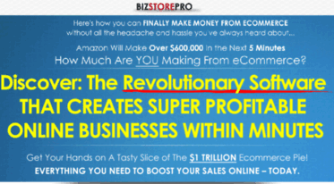 shop.bizstorepro.com