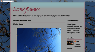 snowflowers25.blogspot.com