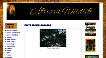 southafrican-wildlife.blogspot.com