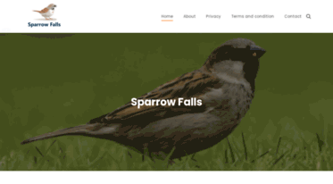 sparrowfalls.nl